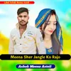 About Meena Sher Jangle Ko Rajo Song