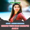 About Chhori Tene Karo Dholpur Jaam 2 Song