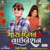 Mara Dil Nu Vibration Full Track