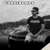 About Goosebumps Song