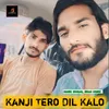About Kanji Tero Dil Kalo Song