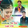 About Looking Tip Top Lage Che Song