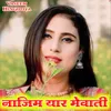 About Najim Yaar Mewati Song