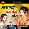 About Marwadi bana Bani Song 2024 Song