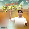 About Kaya Nagar Ra Rang Mahal Me Song