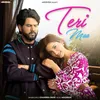 About Teri Maa Song