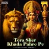 About Tera Sher Khada Pahre Pe Song