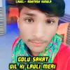 About Dil Ki Ladli Meri Song