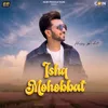 About Ishq Mohobbat Song