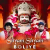 About SHYAM SHYAM BOLIYE Song