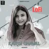 About Kargi Ghayal Lofi Song