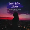 About Tere Bina Remix Song