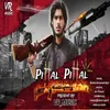 About Pittal Pittal Song