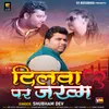 Dilwa Par Jakhm