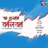 About O SENAI KALIJA Song