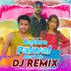 Nakhro palwal wari ko DJ Remix