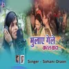About Bhulay Gele Karal Wada Song