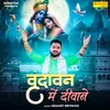 About Vrindavan Mein Deewane Song