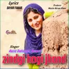 About Zindgi Hogi Jhand Song