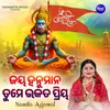 About Jaya Hanumana Tume Bhakata Priya Song