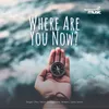 About Where are you now Song