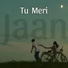 About Tu Meri Jaan Song