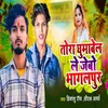 About Tora Ghumabel Le Jebo Bhagalpur Song