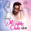 About Dil Tujhko Chahe Lo-Fi Song