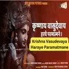 About Krishna Vasudevaya Haraye Paramatmane Song