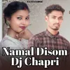 About Namal Disom Dj Chapri Song