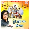 About Gunje Om Namah Shivaya Song