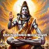 Om Namah Shivaya