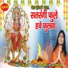 About Satrangi Fule Hawe Fulwa Song