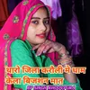 About Tharo Jila Karauli Me Dham Kela Bijashan Mat Song