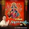 About Main Deewana Sherowali Ka Song