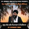 About Gur Sant Jano Piyara Main Mileya Song