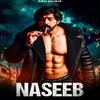 Naseeb