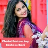 About Chabal ka tour toy kraba o chori Song