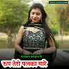 About Roop Tero Palka Mare Song