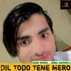 About Dil Todo Tene Mero Song