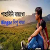 About PAHAMINI BAYKHO Song