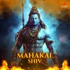 About Mahakal Shiv Song