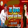 About Ja Bewafa Mujhko Bhula Diya Song