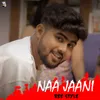 About Naa Jaani Song