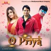 About O Priya Song