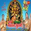 About Aayi Navrata Suhani Song