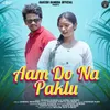 About Aam Do Na Paklu Song