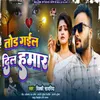 About Tod Gail Dil Hamar Song