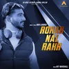 About ROHAB NAL RAKH Song