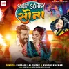 About Sorry Sorry Sona Song